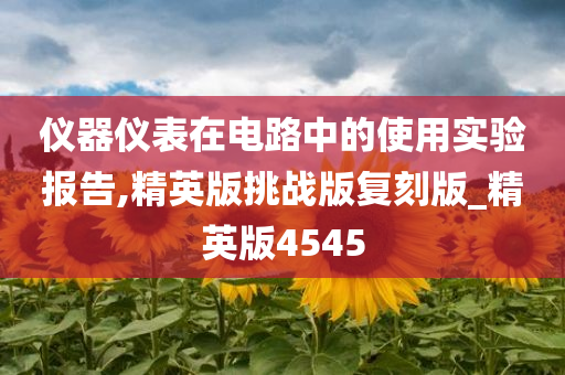 仪器仪表在电路中的使用实验报告,精英版挑战版复刻版_精英版4545