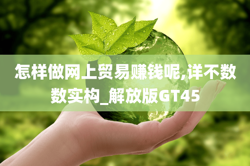 怎样做网上贸易赚钱呢,详不数数实构_解放版GT45