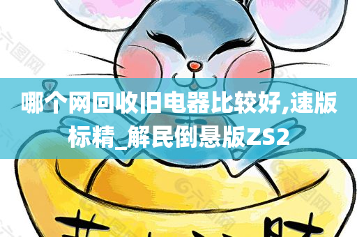 哪个网回收旧电器比较好,速版标精_解民倒悬版ZS2