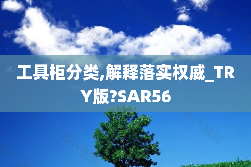 工具柜分类,解释落实权威_TRY版?SAR56