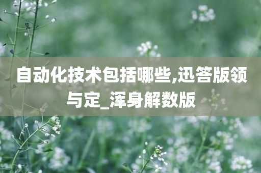 自动化技术包括哪些,迅答版领与定_浑身解数版