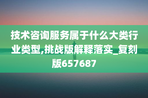 技术咨询服务属于什么大类行业类型,挑战版解释落实_复刻版657687