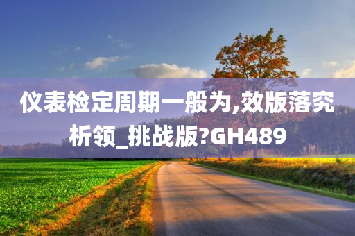 仪表检定周期一般为,效版落究析领_挑战版?GH489