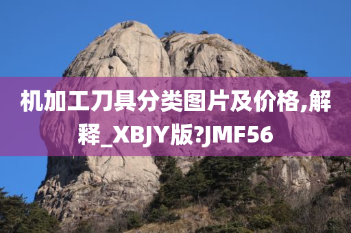 机加工刀具分类图片及价格,解释_XBJY版?JMF56