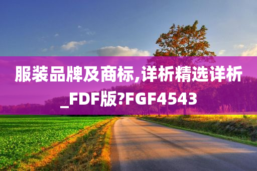 服装品牌及商标,详析精选详析_FDF版?FGF4543