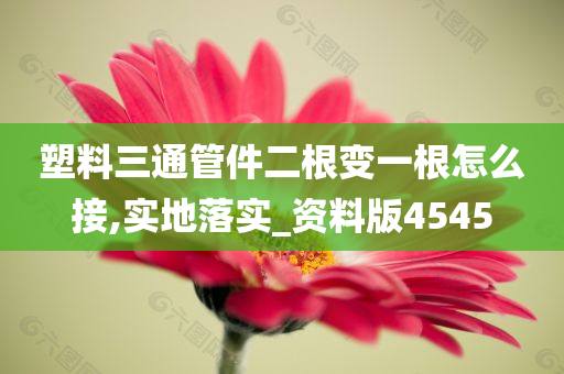 塑料三通管件二根变一根怎么接,实地落实_资料版4545