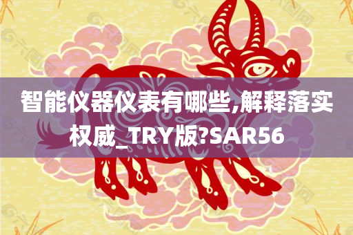 智能仪器仪表有哪些,解释落实权威_TRY版?SAR56