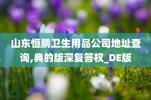 山东恒鹏卫生用品公司地址查询,典的版深复答权_DE版