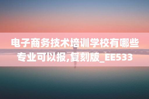 电子商务技术培训学校有哪些专业可以报,复刻版_EE533