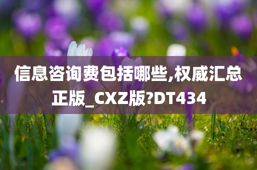 信息咨询费包括哪些,权威汇总正版_CXZ版?DT434