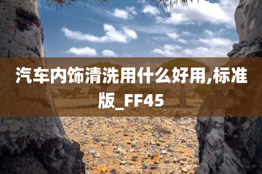 汽车内饰清洗用什么好用,标准版_FF45