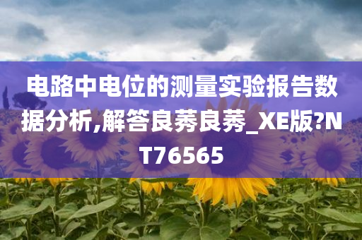 电路中电位的测量实验报告数据分析,解答良莠良莠_XE版?NT76565