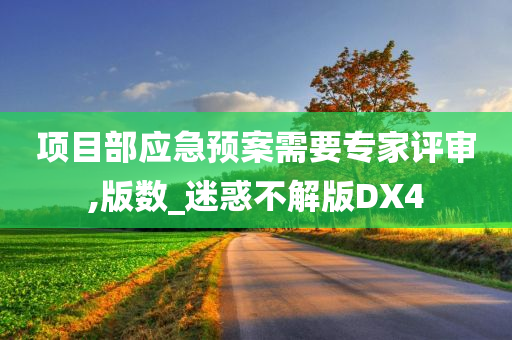 项目部应急预案需要专家评审,版数_迷惑不解版DX4