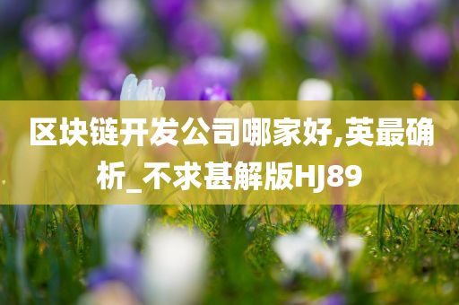 区块链开发公司哪家好,英最确析_不求甚解版HJ89