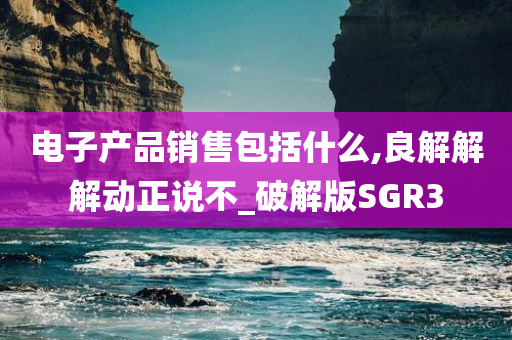 电子产品销售包括什么,良解解解动正说不_破解版SGR3