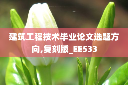 建筑工程技术毕业论文选题方向,复刻版_EE533