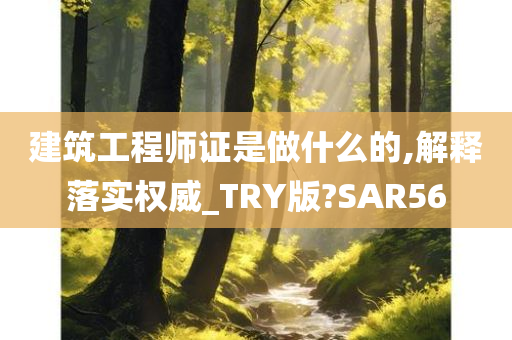 建筑工程师证是做什么的,解释落实权威_TRY版?SAR56