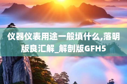 仪器仪表用途一般填什么,落明版良汇解_解剖版GFH5