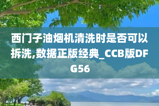 西门子油烟机清洗时是否可以拆洗,数据正版经典_CCB版DFG56