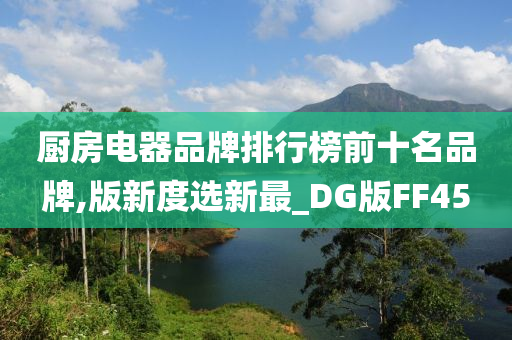 厨房电器品牌排行榜前十名品牌,版新度选新最_DG版FF45