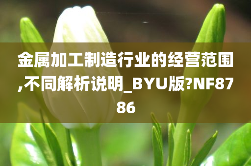 金属加工制造行业的经营范围,不同解析说明_BYU版?NF8786