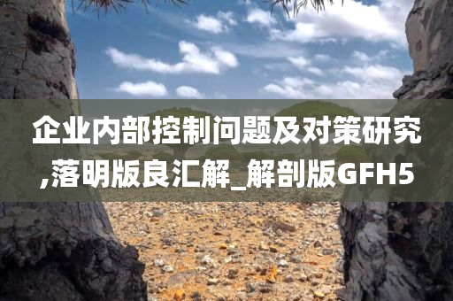 企业内部控制问题及对策研究,落明版良汇解_解剖版GFH5