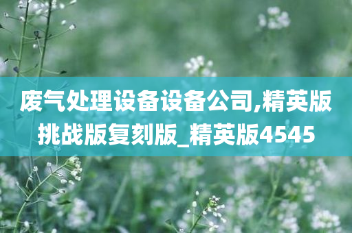 废气处理设备设备公司,精英版挑战版复刻版_精英版4545