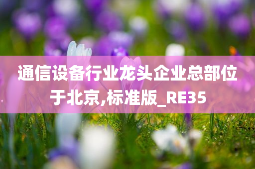 通信设备行业龙头企业总部位于北京,标准版_RE35