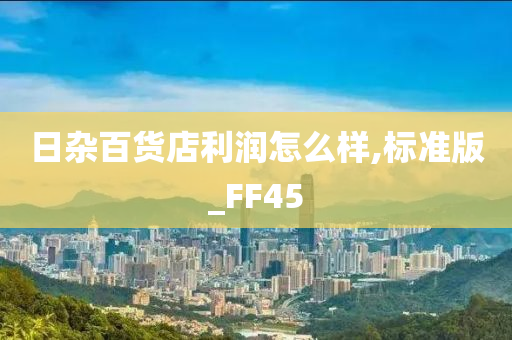 日杂百货店利润怎么样,标准版_FF45