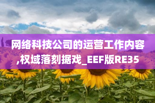 网络科技公司的运营工作内容,权域落刻据戏_EEF版RE35