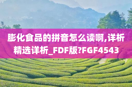 膨化食品的拼音怎么读啊,详析精选详析_FDF版?FGF4543