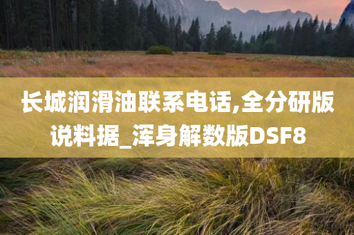 长城润滑油联系电话,全分研版说料据_浑身解数版DSF8