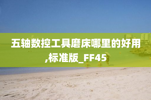 五轴数控工具磨床哪里的好用,标准版_FF45