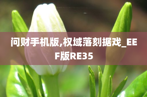 问财手机版,权域落刻据戏_EEF版RE35