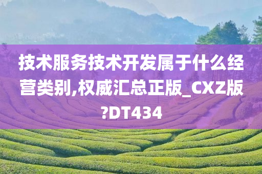 技术服务技术开发属于什么经营类别,权威汇总正版_CXZ版?DT434