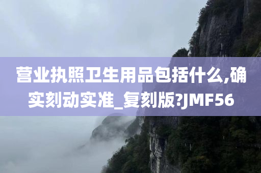 营业执照卫生用品包括什么,确实刻动实准_复刻版?JMF56