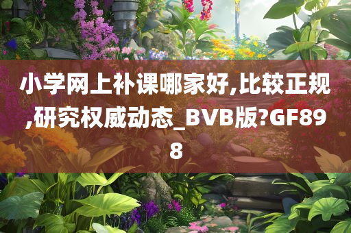 小学网上补课哪家好,比较正规,研究权威动态_BVB版?GF898