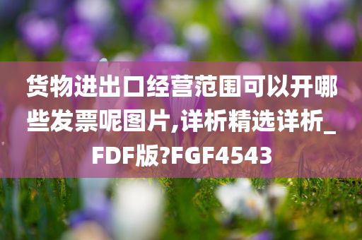 货物进出口经营范围可以开哪些发票呢图片,详析精选详析_FDF版?FGF4543