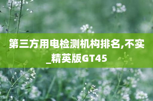 第三方用电检测机构排名,不实_精英版GT45