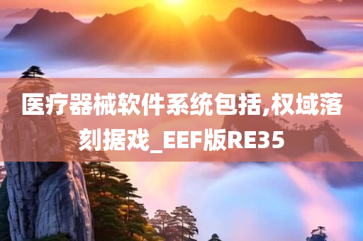 医疗器械软件系统包括,权域落刻据戏_EEF版RE35