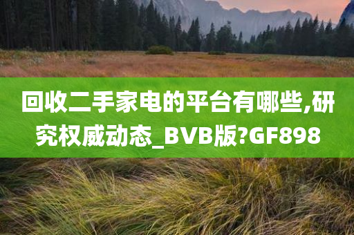 回收二手家电的平台有哪些,研究权威动态_BVB版?GF898