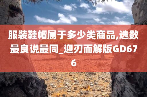 服装鞋帽属于多少类商品,选数最良说最同_迎刃而解版GD676