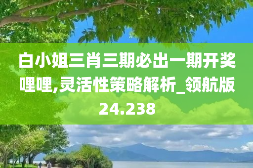 白小姐三肖三期必出一期开奖哩哩,灵活性策略解析_领航版24.238