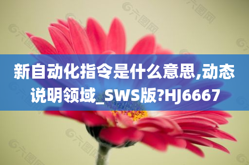 新自动化指令是什么意思,动态说明领域_SWS版?HJ6667