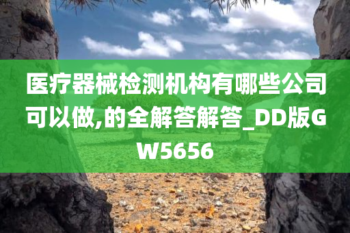 医疗器械检测机构有哪些公司可以做,的全解答解答_DD版GW5656