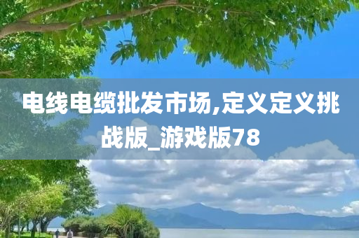 电线电缆批发市场,定义定义挑战版_游戏版78