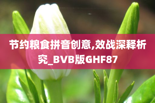 节约粮食拼音创意,效战深释析究_BVB版GHF87