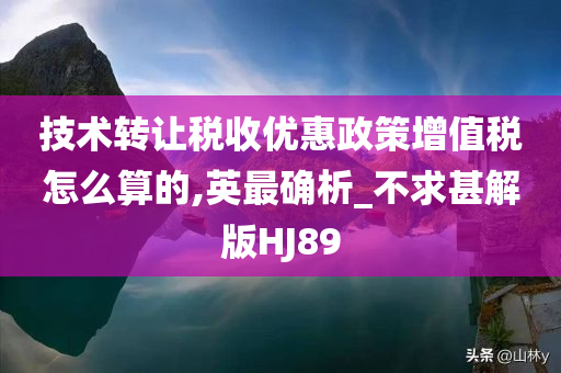 技术转让税收优惠政策增值税怎么算的,英最确析_不求甚解版HJ89