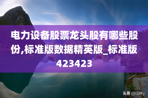 电力设备股票龙头股有哪些股份,标准版数据精英版_标准版423423