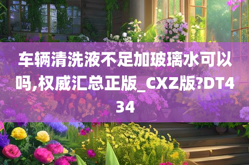 车辆清洗液不足加玻璃水可以吗,权威汇总正版_CXZ版?DT434